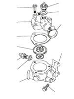 200tdi Thermostat & Housing