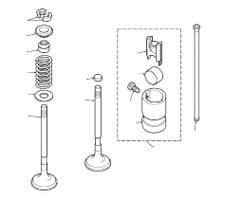 300tdi Valves & Tappets