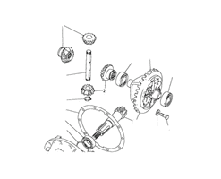 Differential Gear