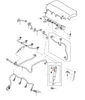 Dw12 Fuel Injectors, Pipes & Glow Plugs