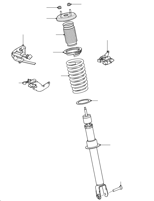 Front Road Springs & Dampers - RWD