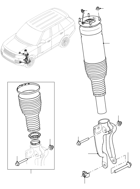 Front Suspension Struts & Air Bags