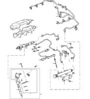 Fuel Injectors, Glow Plugs & Pipes