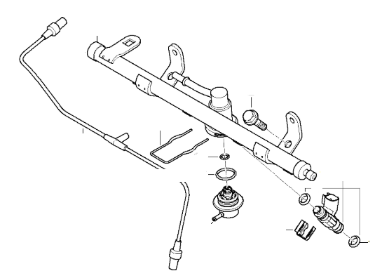 Fuel Injectors & Rail