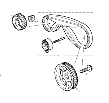 Fuel Pump Belt