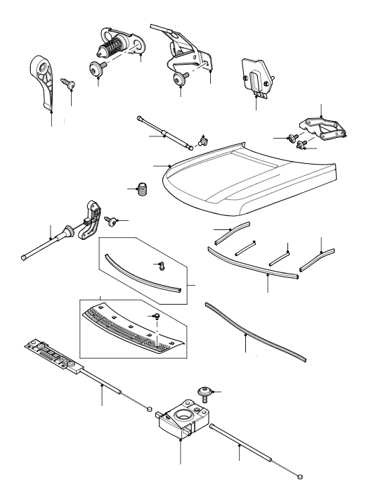 Hood (Bonnet) & Fittings