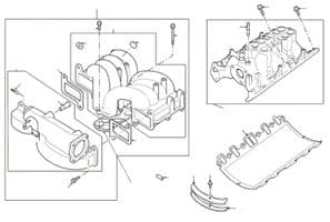 Inlet Manifolds