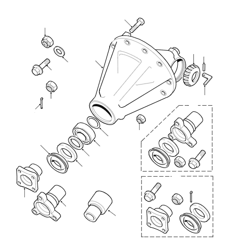 Rear Differential