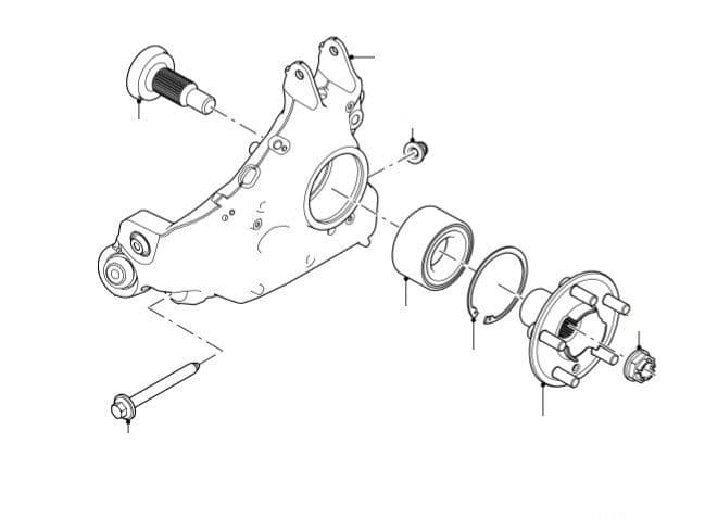 Rear Hub, Carrier & Bearing