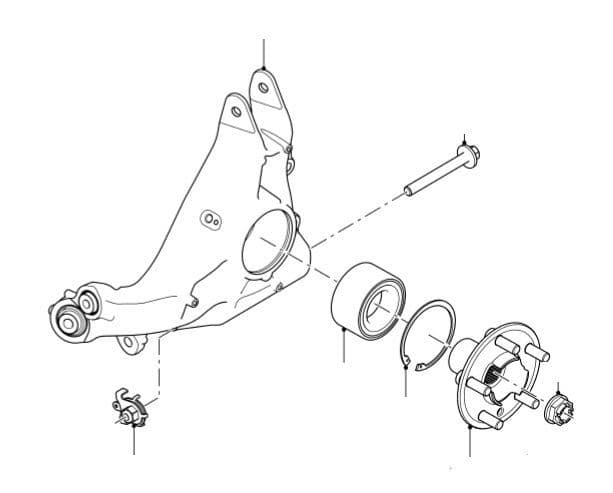 Rear Hub, Carrier & Bearing