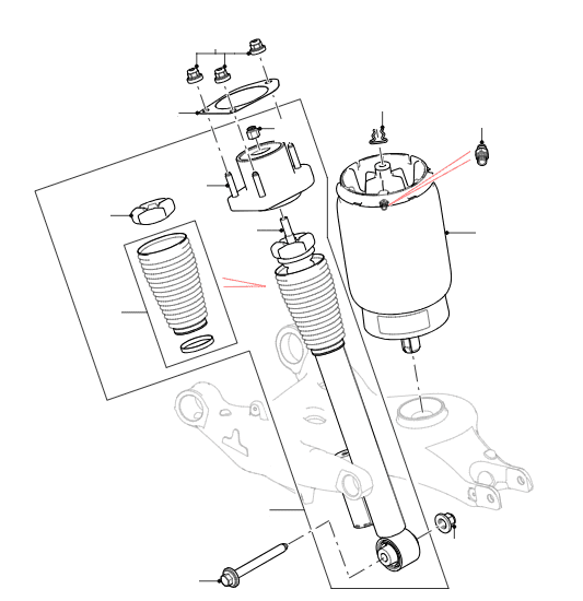 Rear Shock Absorbers - Air Suspension