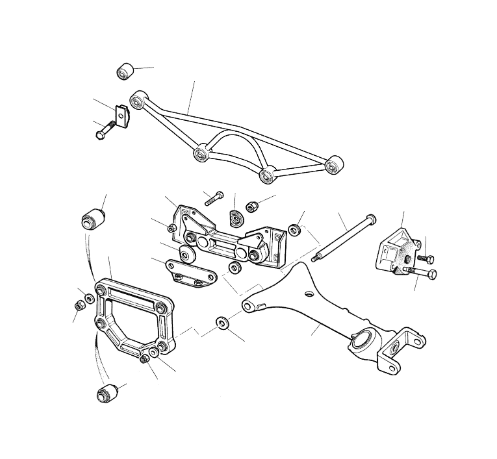 Rear Wishbones