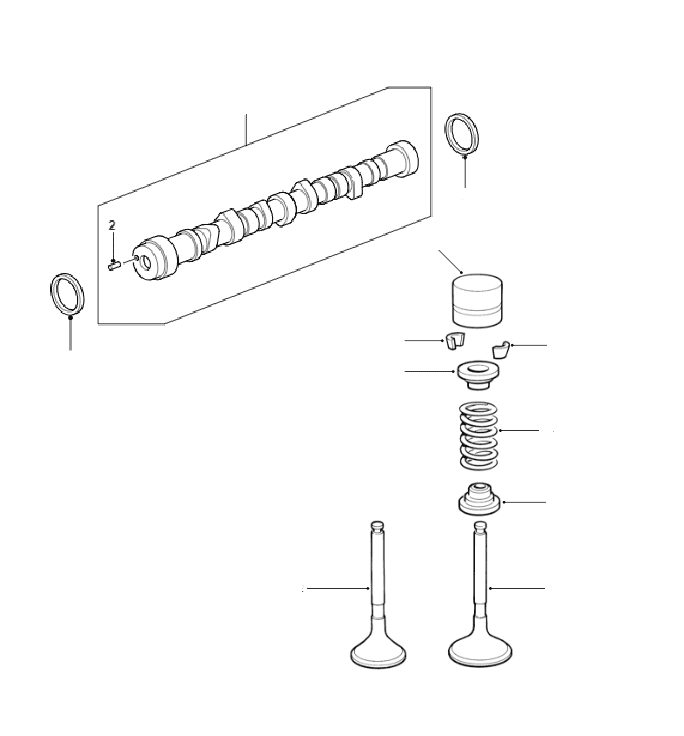 TCIE Camshaft & Valves