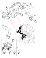 Thermostat & Hoses