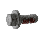 FT110256 SCREW