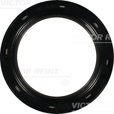 11117805945 Oil Seal