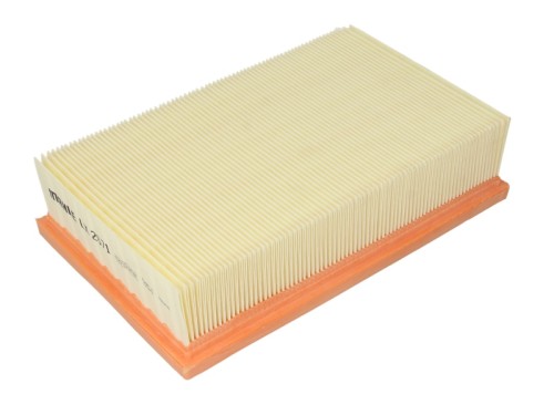 C2P6500 C2P16933 Mahle Air Filter