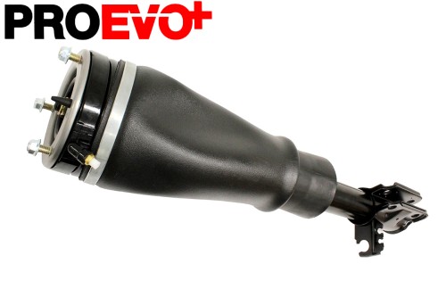 RNB000740 Pro-Evo Shock Absorber Assembly