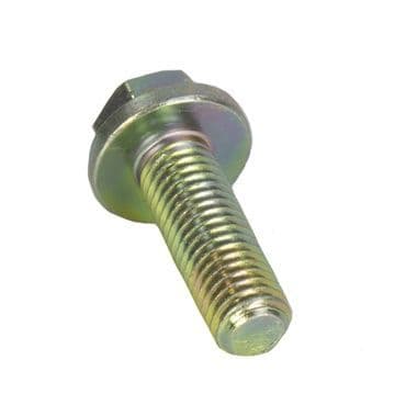 FS110306 FS110301 Flange Screw