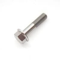 FT110356 SCREW