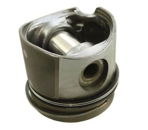 LFL500030 Piston Assembly Standard